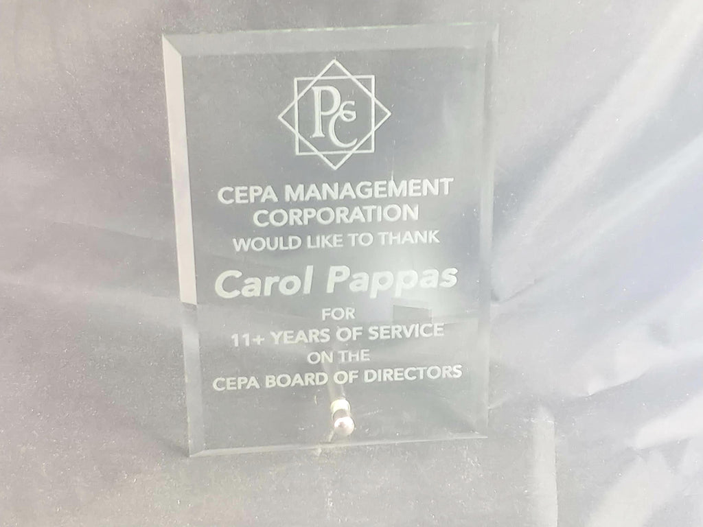 Elegant Clear Glass Award with Beveled Edge - Perfect for Recognition & Milestones - Beveled edge and silver plated easel post